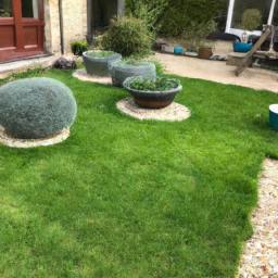 Techniques de taille pour maintenir un jardin esthétique et en bonne santé Conflans-Sainte-Honorine